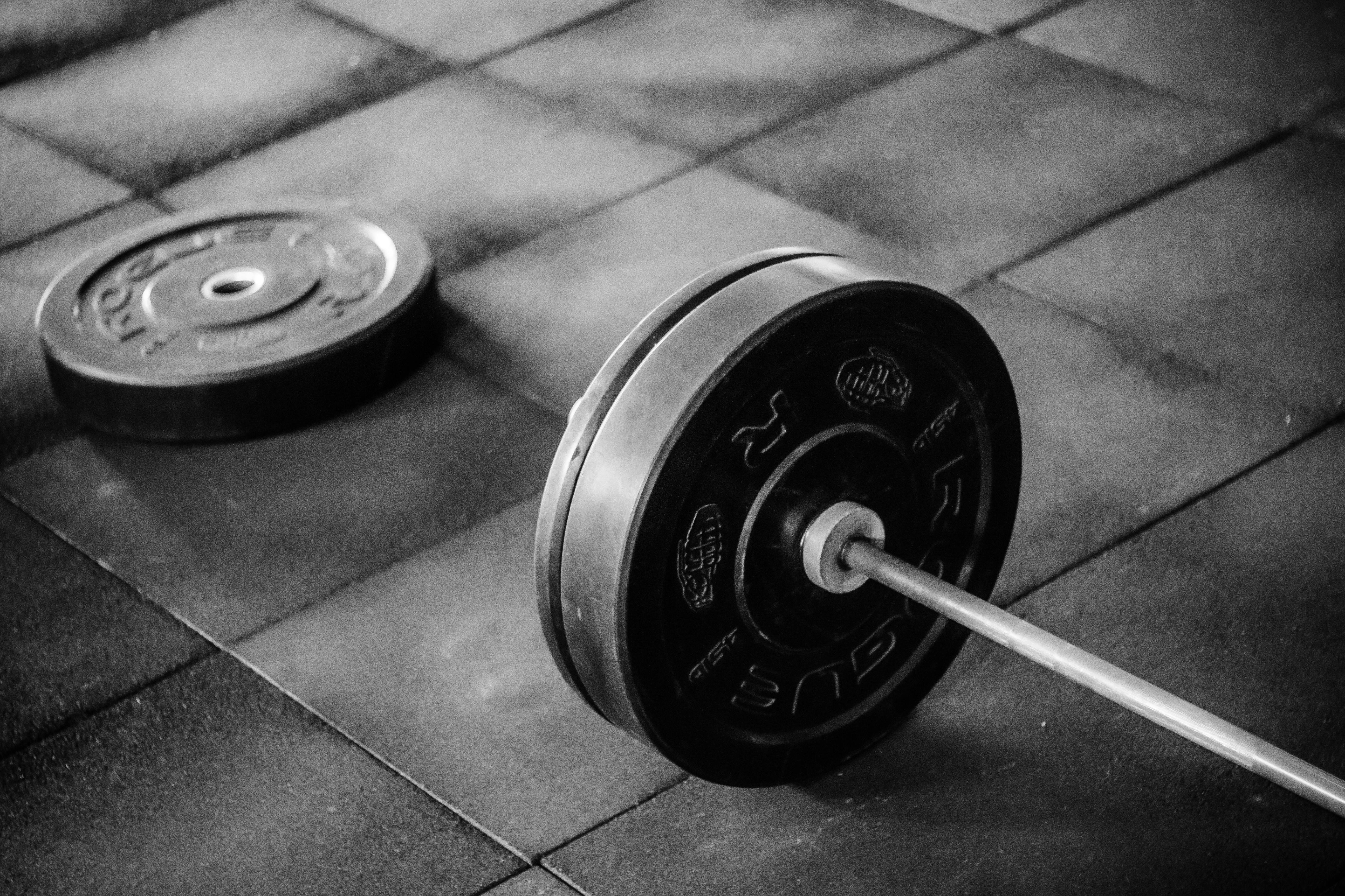 FitZone Suceava